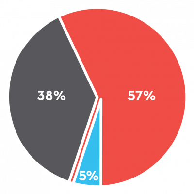 financial-chart-2018-2019-revenue Pie chart reflecting percentage of revenue for 2018-2019 fiscal year